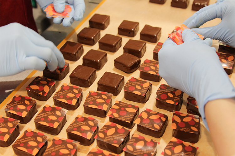 ``Chocolatier Masar'' apporte le bonheur d'un seul grain rempli de sentiments chaleureux.