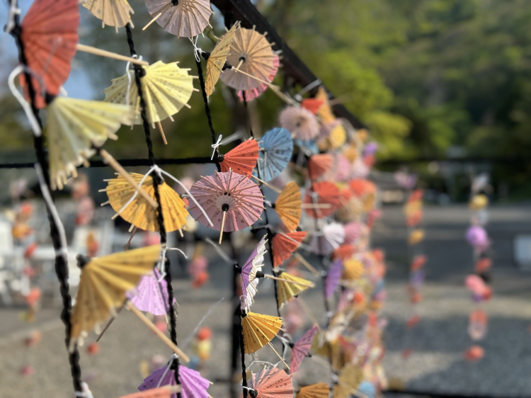 La bonne aventure avec un parapluie coloré se balançant dans le vent est l'un des spots photo les plus populaires