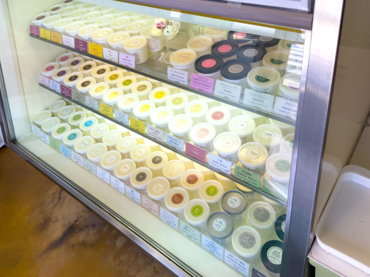 Vitrine de glaces et sorbets à côté de la caisse