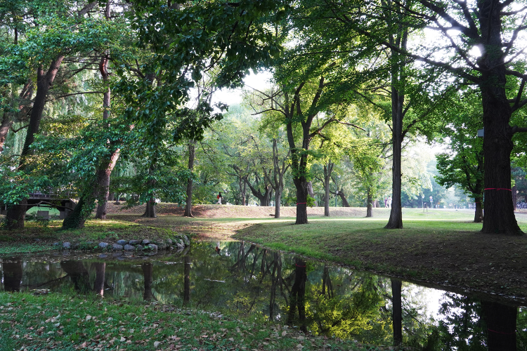 Des bancs sont placés sur tout le campus verdoyant, vous permettant de vous détendre et de profiter du paysage.