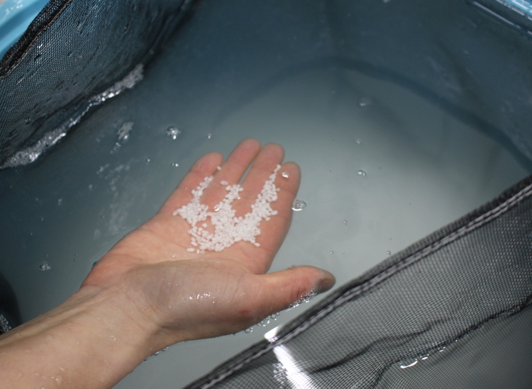 Le processus de trempage du riz à saké dans une grande quantité d'eau souterraine pour lui permettre d'absorber l'eau.