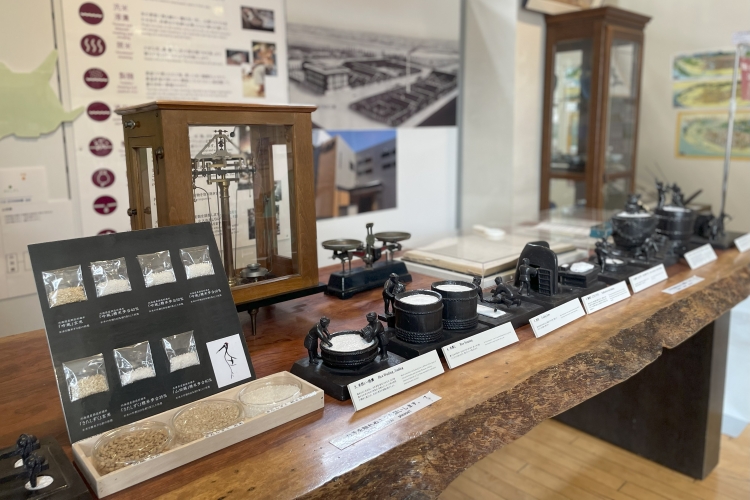 Expositions du musée