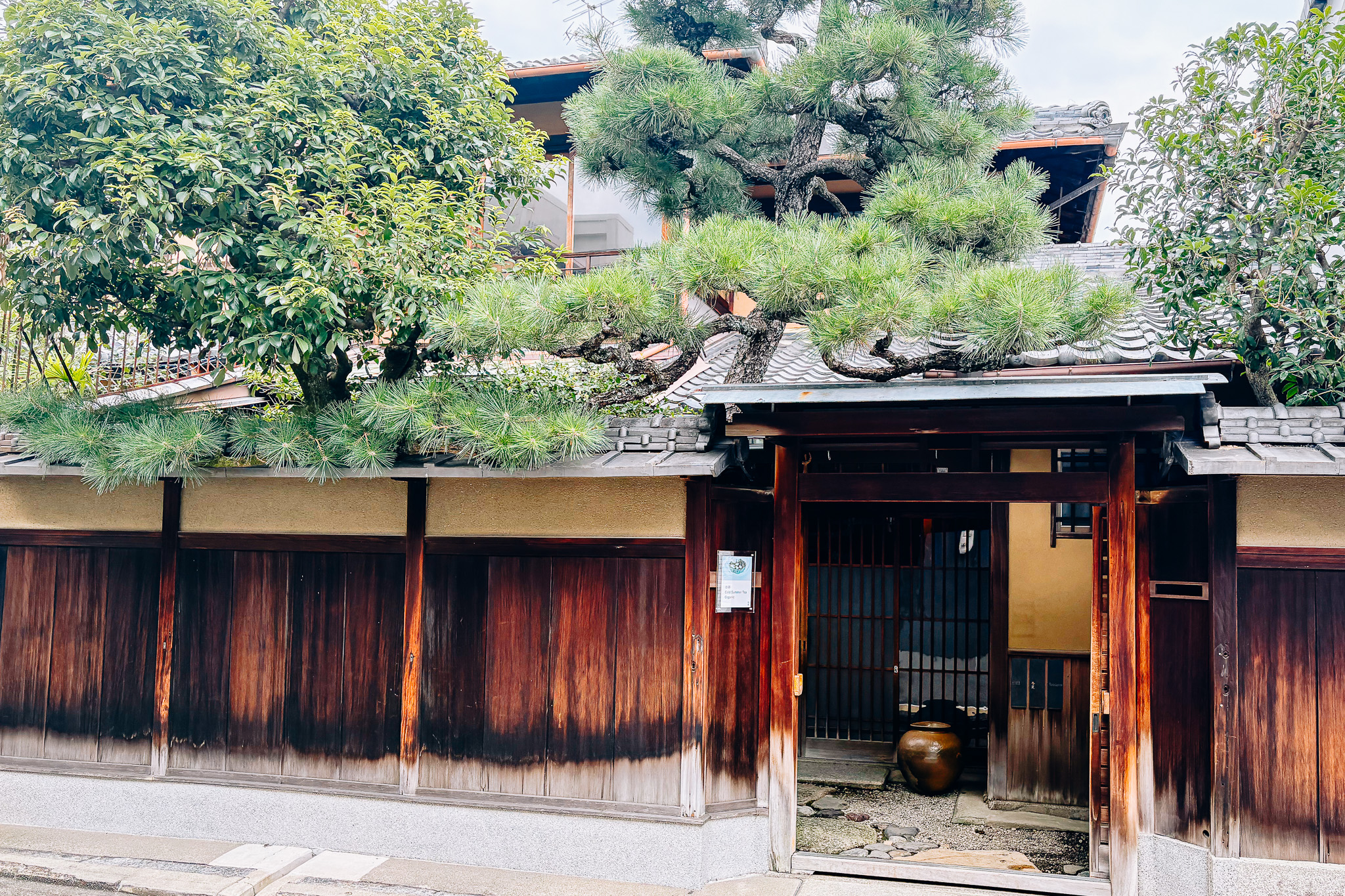 Un moment pour découvrir le charme profond du thé japonais au salon de thé « Touka ».
