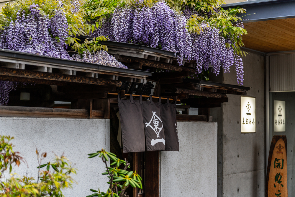 Higashiya Juraku, un restaurant de soba de longue date qui a toujours été étroitement lié à Maruyama, continue de transmettre ses saveurs et sa gestion de restaurant de père en fils.